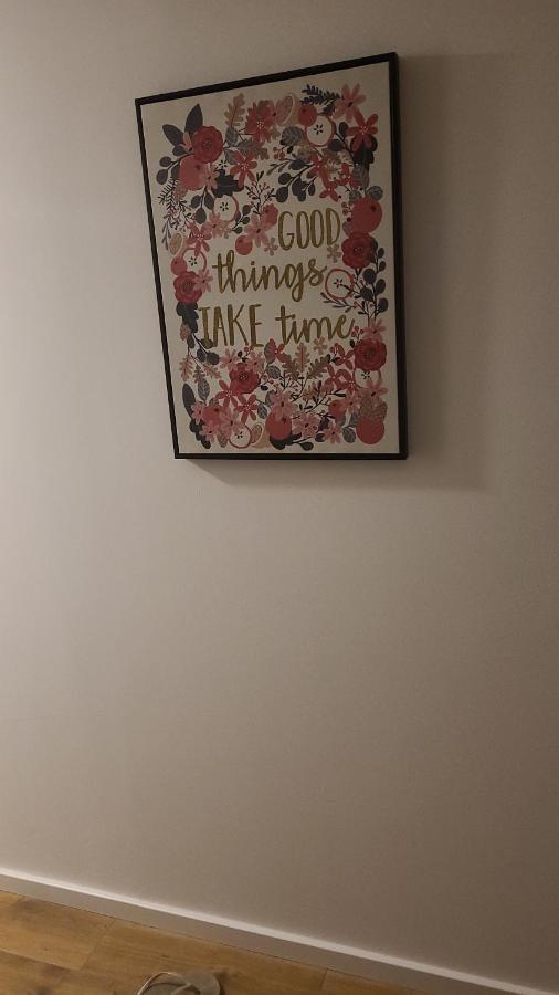 Zen Apartmani Novi Sad Eksteriør billede