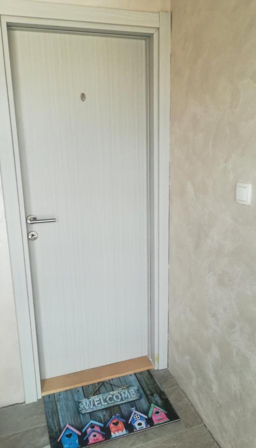 Zen Apartmani Novi Sad Eksteriør billede