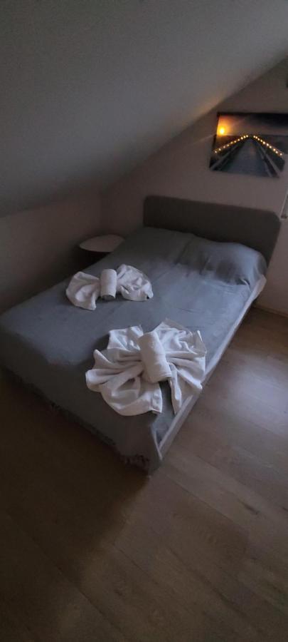 Zen Apartmani Novi Sad Eksteriør billede