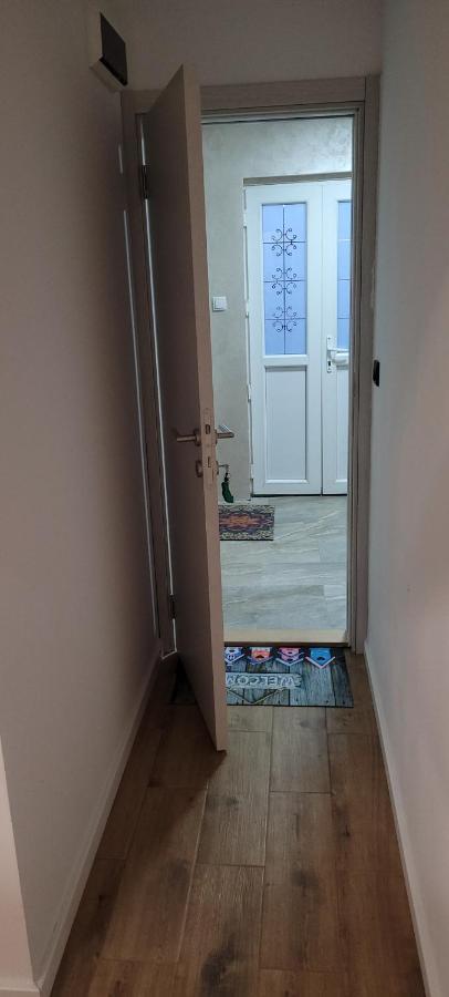 Zen Apartmani Novi Sad Eksteriør billede