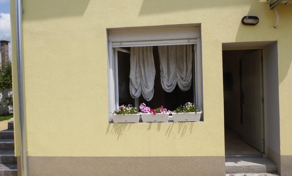 Zen Apartmani Novi Sad Eksteriør billede