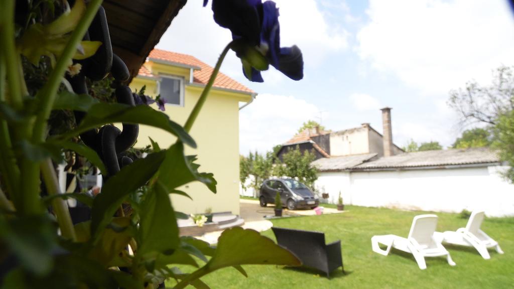 Zen Apartmani Novi Sad Eksteriør billede