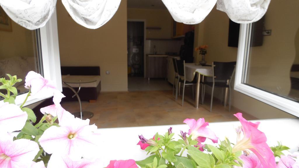 Zen Apartmani Novi Sad Eksteriør billede